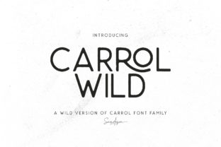 Carrol Wild: The Modern Sans Serif Font for Bold Branding