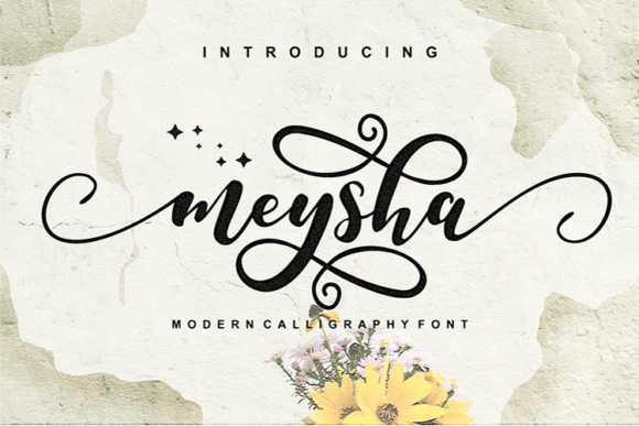 Meysha Font Review: A Web Designer’s Take