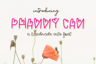 Phanny Can: A Playful Script Font for Web Design
