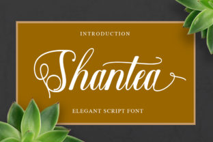 Shantea Font: A Friendly Script for Makers