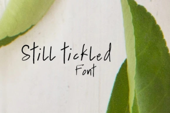 Still Tickled: A Friendly Script Typeface for Modern Editorial Design