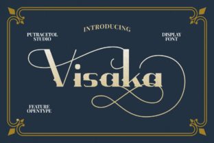 Visaka Typeface Review: Bold Display Fonts for Branding